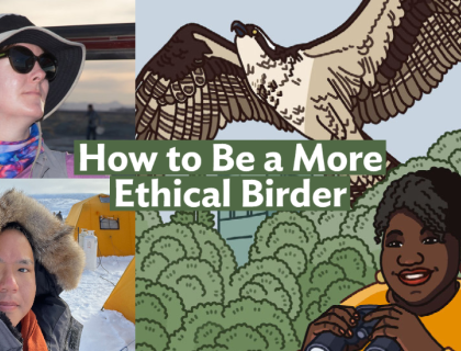 A graphic with the Bring Birds Back artwork on the right side, a headshot of Martha Harbison in the top-left corner, and a photo of David Lei in the bottom-left corner.