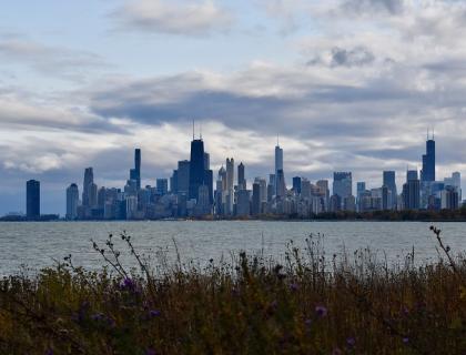 Chicago skyline beneath a partly cloudy sky, seen from The Magic Hedge at Montrose Point Bird Sanctuary