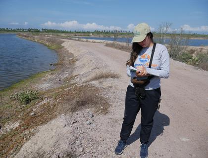Juanita Fonseca stands in sunlight on the edge of a shrimp farm while she collects data about migrating shorebirds