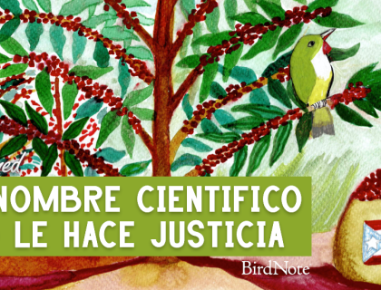 The Threatened en Español artwork for "El nombre científico no le hace justicia"