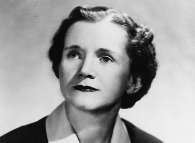 Photo of Rachel Carson