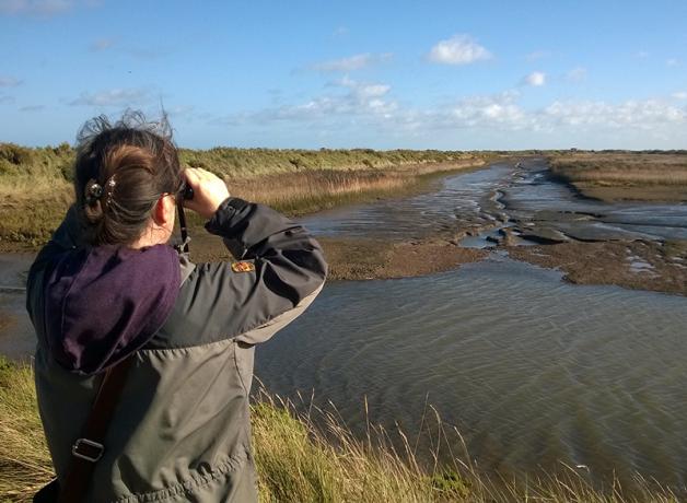 Woman using binoculars to birdwatch at an estuary