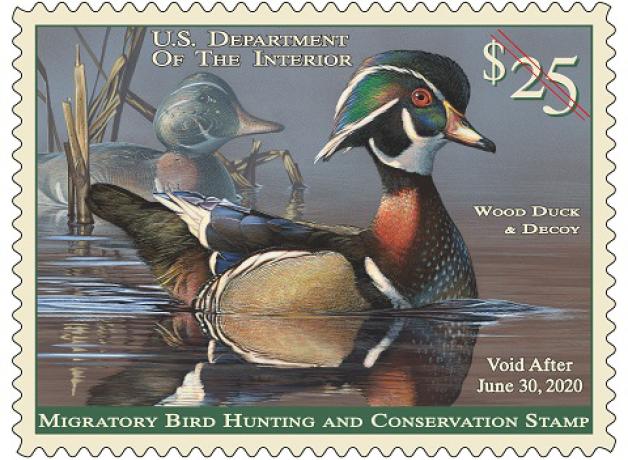 Federal Duck Stamp - Wood Duck