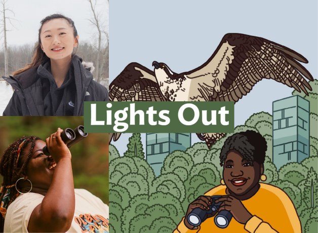 A graphic with the text, "Lights Out" in white font with green highlighting. On the right side of the background is the Bring Birds Back podcast artwork. In the top left corner is a headshot of Julia Wang. In the bottom left corner is an image of Tenijah Hamilton looking through binoculars. 