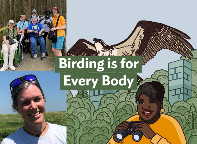 A graphic with the text, "Birding is For Every Body" in white font with green highlighting. 