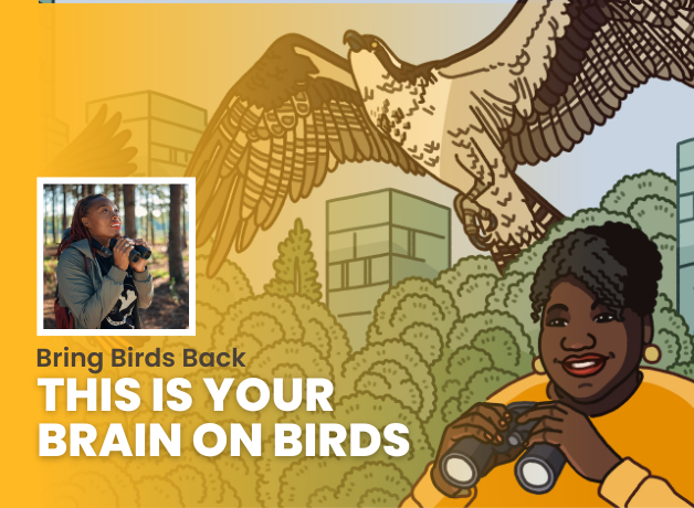 The Bring Birds Back episode artwork for "This is Your Brain on Birds"