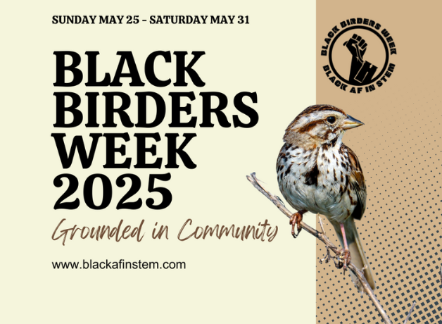 Black Birders Week 2025