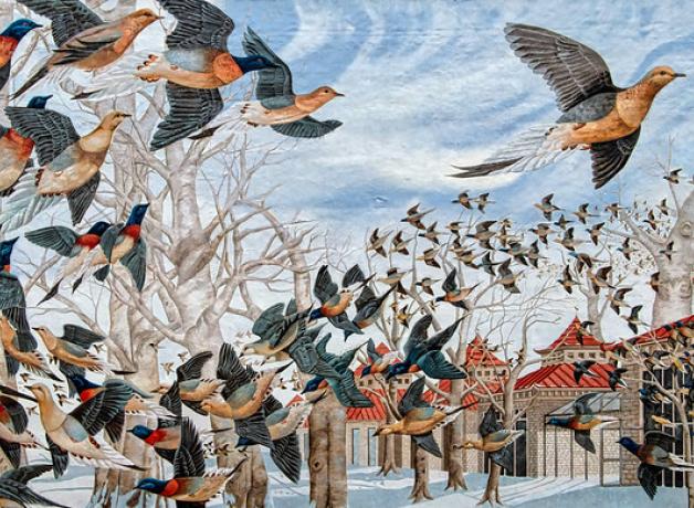 Passenger Pigeon mural in Cincinnati, Ohio