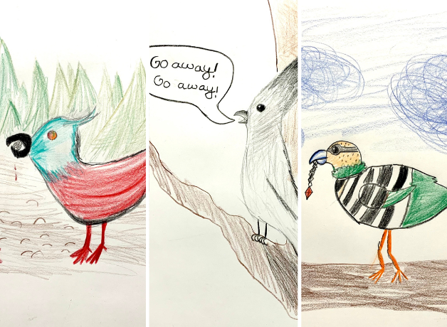 Cartoon drawings of the three mystery birds, the Zombie Crossbill, Gray Go-Away-bird, and Green Treasure-snatcher