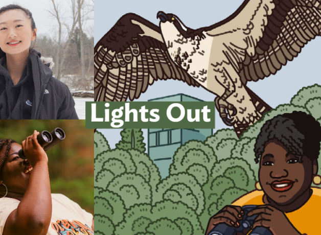 A graphic with the Bring Birds Back artwork on the right side, a headshot of Julia Wang in the top-left corner, and a photo of Tenijah Hamilton looking through binoculars in the bottom-left corner.