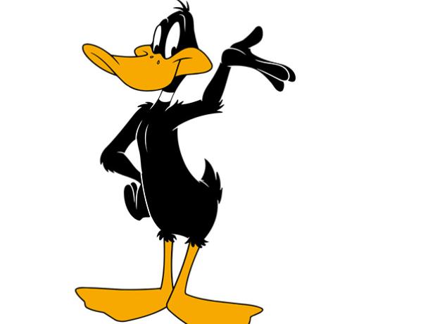 From the Start, Daffy Duck Has Been a Cartoon Original | BirdNote From the Start, Daffy Duck Has Been a Cartoon Original | BirdNote