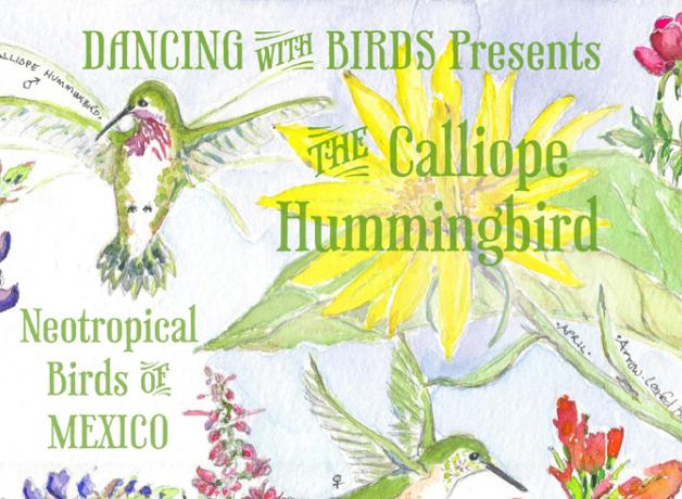 Dancing with Birds poster