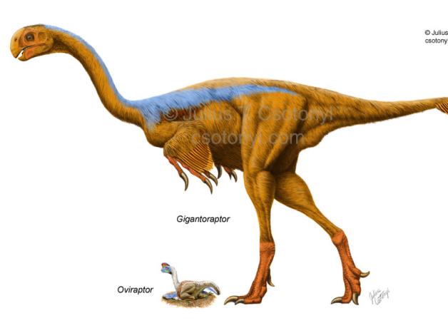 Gigantoraptor, feathered but flightless dinosaur