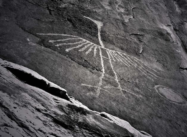 Petroglyph of a heron