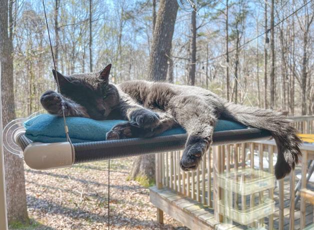 Gray cat lays on small shelf attached to window