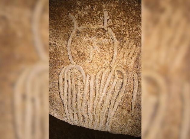 Cave painting shows outline of owl