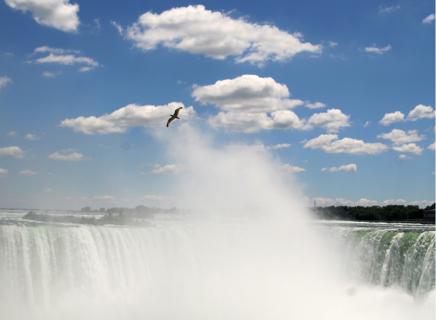A gull in silhouette over Niagara Falls with blue skies and puffy clouds in the background