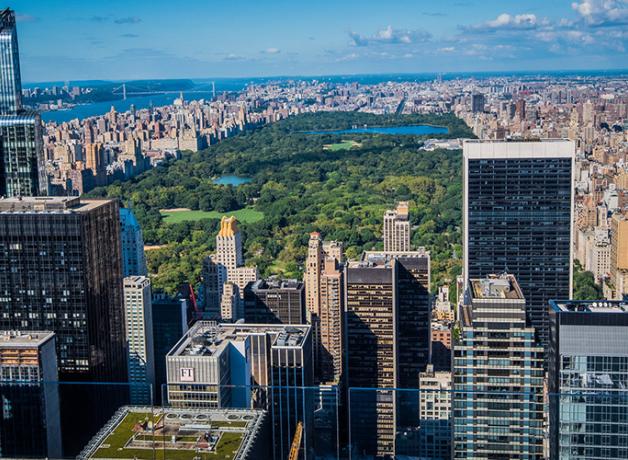 Central Park in New York City