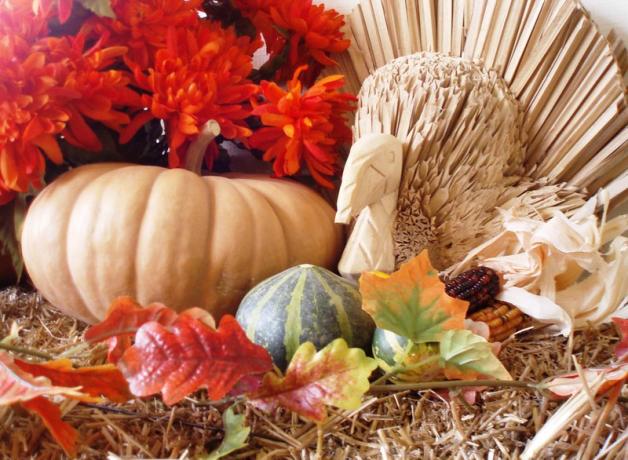 Happy Thanksgiving from a turkey in the straw!