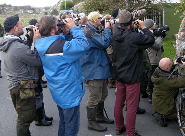 Birders