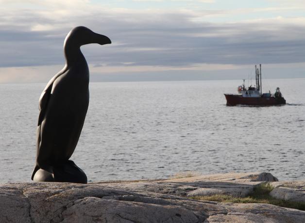 "Lost" Great Auk looks to the sea