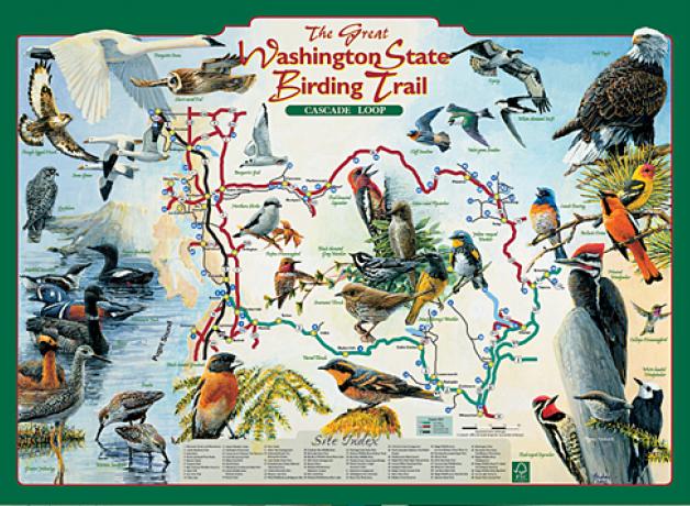 WA Birding Trail