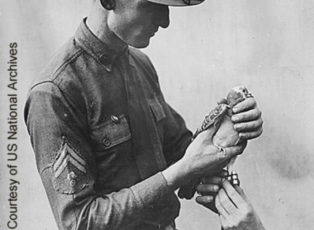 Soldier with carrier pigeon