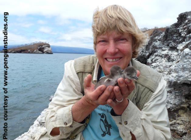 Dee with Penguin chicks