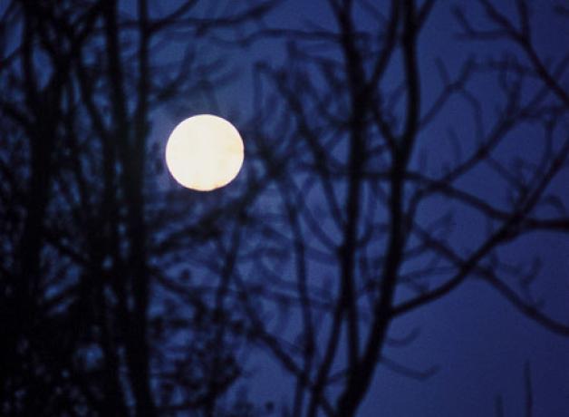 Moon of falling leaves