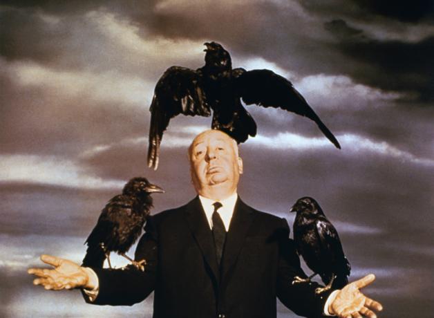 hitchcock-and-the-birds-corbis-large.jpg