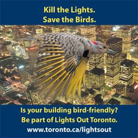 Lights out Toronto