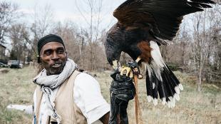 Falconer Rodney Stotts standing outdoors with a Harris's Hawk on his glove-covered raised left fist