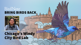 Bring Birds Back Season 8 Episode 2