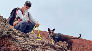 Wildlife biologist Michelle Reynolds sits on a slope of Mauna Loa, holding the yellow leash of her nearby "detector" dog, Slater.