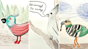 Cartoon drawings of the three mystery birds, the Zombie Crossbill, Gray Go-Away-bird, and Green Treasure-snatcher