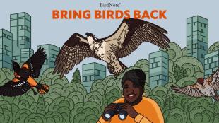 An illustration of Bring Birds Back host Tenijah Hamilton, smiling and holding binoculars in a city park setting, as birds fly over her.