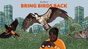 Illustration of a Baltimore Oriole, Osprey and American Tree Sparrow flying over our host, Tenijah Hamilton, smiling and holding binoculars, against a background of trees and tall buildings