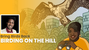 Episode promotional graphic for Bring Birds Back: "Birding On The Hill" featuring the podcast artwork and headshot of guest, Tykee James