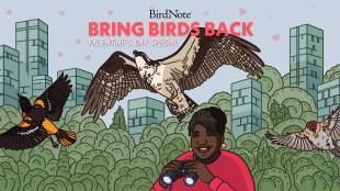 Illustration of Tenijah Hamilton in a pink shirt with "Bring Birds Back — Valentine's Day Special" above her. Three birds are flying around her