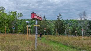 A field in eastern Ontario with numerous brightly-colored custom birdhouses on tall poles. 