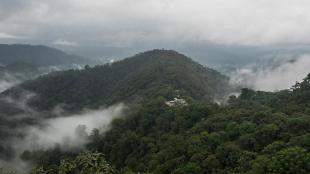 Cloud forest in Ecuador, showing green hills and drifts of clouds around them