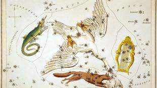 Cygnus constellation show in illustration from 1825