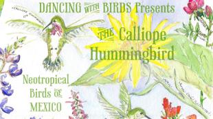 Dancing with Birds poster