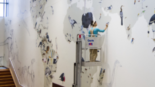A photo of Jane Kim painting the Wall of Birds mural in a lift several feet off the ground.