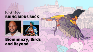 Bring_Birds_Back_Season 7 Episode 1