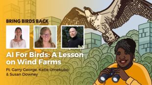 Artwork for episode 2 Bring Birds Back, featuring a photo of Katie Umekubo, Susan Downey, Garry George and an illustration of Tenijah Hamilton