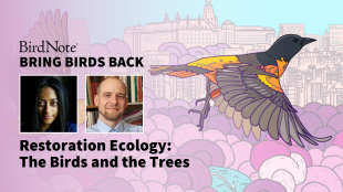 Bring Birds Back Season 7 Episode 2 with Mario Pesendorfer