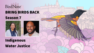 Bring Birds Back Season 7 Episode 3 with Kelsey Leonard