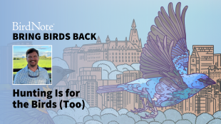 Bring Birds Back Season 8 Episode 3