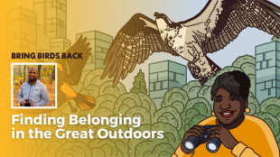 A graphic with the Bring Birds Back artwork on the right side and a photo of Dudley Edmondson on the left side.